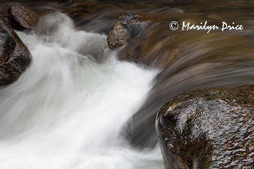 Cascades on the North St. Vrain Creek,Wild Basin Trail, Rocky Mountain National Park, CO