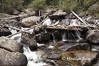 Cascades on the North St. Vrain Creek,Wild Basin Trail, Rocky Mountain National Park, CO