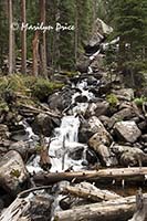 Calypso Cascades, Wild Basin Trail, Rocky Mountain National Park, CO