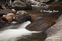 Cascades on the North St. Vrain Creek,Wild Basin Trail, Rocky Mountain National Park, CO