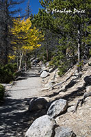 Autumn trail, Emerald Lake Trail, Rocky Mountain National Park, CO