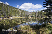 Nymph Lake, Emerald Lake Trail, Rocky Mountain National Park, CO