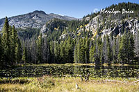 Nymph Lake, Emerald Lake Trail, Rocky Mountain National Park, CO