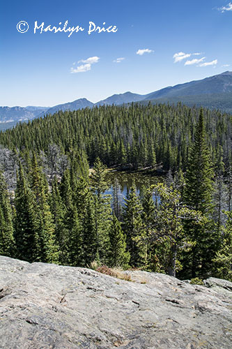 Looking down on Nymph Lake, Emerald Lake Trail, Rocky Mountain National Park, CO