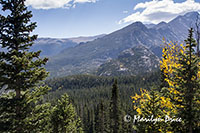 Autumn comes to the Rockies, Emerald Lake Trail, Rocky Mountain National Park, CO