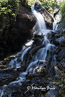 Waterfalls along Emerald Lake Trail, Rocky Mountain National Park, CO