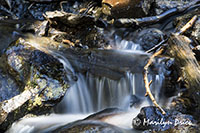 Waterfalls along Emerald Lake Trail, Rocky Mountain National Park, CO