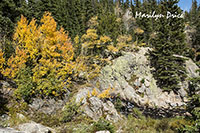 Autumn trees and waterfalls along Emerald Lake Trail, Rocky Mountain National Park, CO