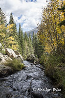 Autumn trees and waterfalls along Emerald Lake Trail, Rocky Mountain National Park, CO