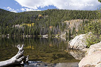 Autumn reflected in Bear Lake, Rocky Mountain National Park, CO