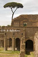 Palace of Septimius Severus, Rome, Italy