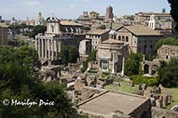 Center of Roman Forum, from Palantine Hill, Rome, Italy