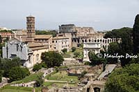 East end of Roman Forum, from Palantine Hill, Rome, Italy