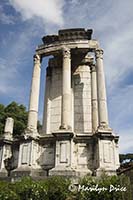 Temple of Vesta, Rome, Italy