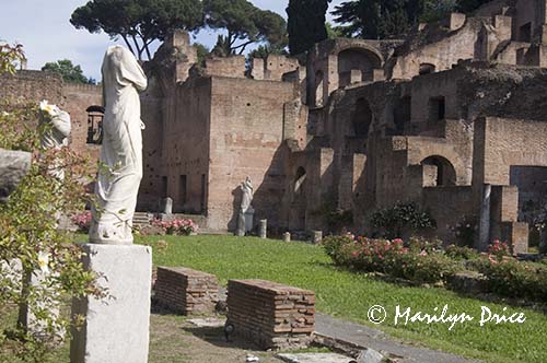 House of the Vestal Virgins from Palantine Hill, Rome, Italy