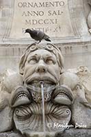 Detail, Fountain in the Piazza della Rotunda, Rome, Italy