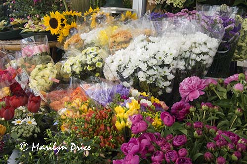 Flower vendor, Rome, Italy