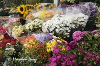 Flower vendor, Rome, Italy