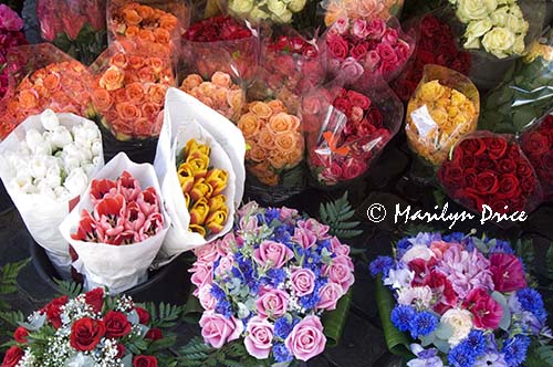 Flower vendor, Rome, Italy