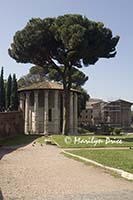 Temple of Hercules, Rome, Italy