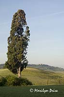 Near Il Rigo, Tuscany, Italy