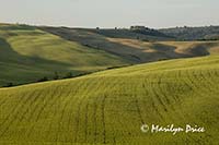 Fields near Il Rigo, Tuscany, Italy