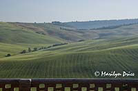 View from our window, Tuscany, Italy