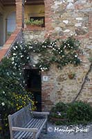 Courtyard and stairs to upper level, Il Rigo, Tuscany, Italy