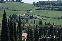 Cypress lined roads near Monticchiello, Tuscany, Italy