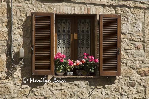 Window and geraniums, Monticchiello, Tuscany, Italy