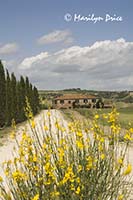 Il Rigo, from the end of its driveway, Tuscany, Italy