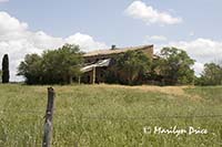 Abandoned farm house, Tuscany, Italy