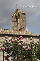 Gardena del Rosa, San Quirico d'Orcia, Tuscany, Italy