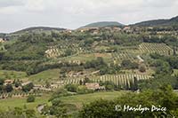 Tuscan countryside, Tuscany, Italy