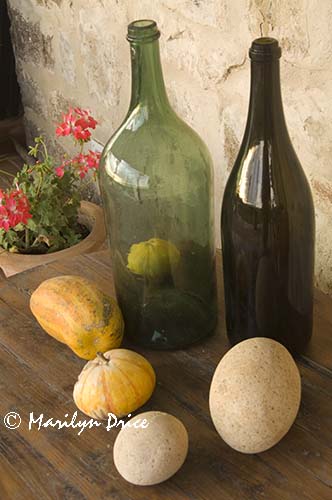 Gourds and wine bottles, Tuscany, Italy