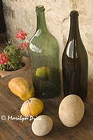 Gourds and wine bottles, Tuscany, Italy