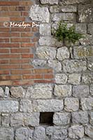 Original block and reconstruction brick, Rocca a Tentennano, Tuscany, Italy