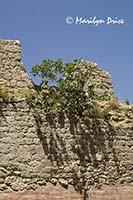 Ramparts, Rocca a Tentennano, Tuscany, Italy