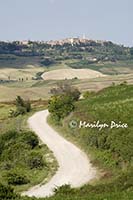 Road to Pienza, Tuscany, Italy