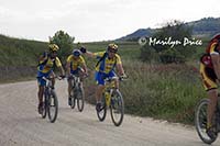 Bicyclists, Tuscany, Italy