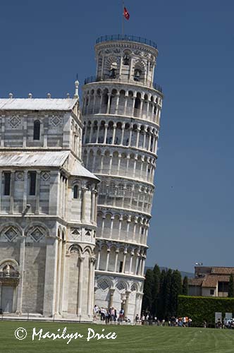 Torre Pendente (Leaning Tower of Pisa), Pisa, Italy