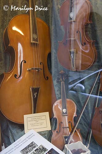 Window display of stringed instruments, Florence, Italy