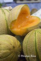 Cantaloupe, Florence, Italy