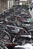 Bicycles, Florence, Italy