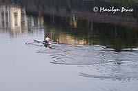 Sculler on the Arno, Florence, Italy