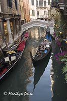 Gondolas, Venice, Italy