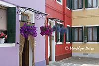 Houses, Burano, Italy