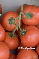 Tomatoes, Burano, Italy