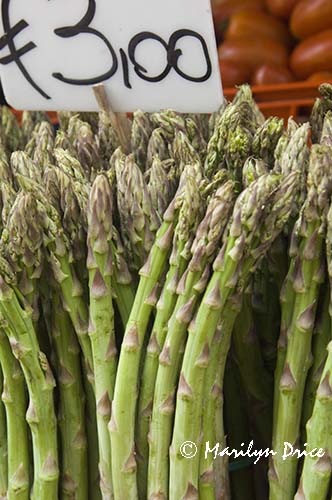 Asparagus, Venice, Italy