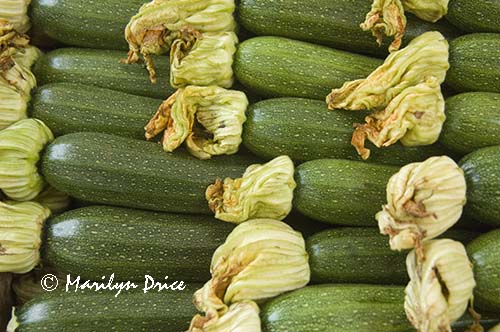 Zucchini, Venice, Italy